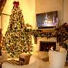 6.5' King Fraser Fir Tree Unlit : King Of Christmas