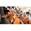 Orchestra Professional , Spitfireaudio.com