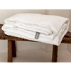 Organic Bamboo Sateen - Eco Terra Beds