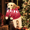 Handmade Pet Felt Miniature Ornament : Crown And Paw