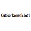 Outdoor Domestic Lot 1 : Peachy Airport Parking