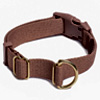 Pack Collar | Awoopets.com