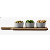 Paddle Bowl Set | Lsainternational