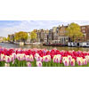 Paris to Amsterdam - Trainline.com