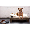 Pet Bed Frame - Keetsa