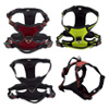 Pet Traction Rope Chest Strap : Furet Friends