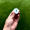 Phys Ed Golf Balls : Physed.co