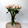 Pink Roses & Thlaspi : TheBlossomist