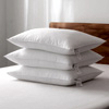Plant Based Pillow : Sweetzzzmattress
