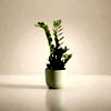 Plant Variant , Plant Warehouse