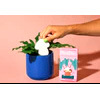 PlantDoc Mushroom - Plantdoc.com