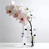 Pomponette Vase | MaisonBalzac