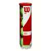 Team W Practice Can of 4 Balls - Tennis-point.es