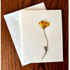 Pressed Flower Cards | Shesrootedhome.com