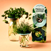 Produce Keepers 2pk - Modernsprout.com