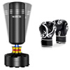Punch Bag With Boxing Gloves | Dripex