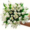 Pure White Tulips : BloomsyBox