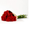 Red Carnations - Bybloom.co.uk