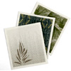 Reusable Cloths - Set of 3 : Noho Home Hawaii