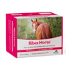 Ribes Horse | Scodinzolando.com