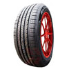 Rotalla Setula E-Race Rh05 : Tyroola