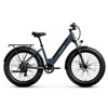Samoyed Ebike | Puckipuppy
