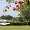 Serviced Grass Pitches : Shore Field