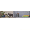 Shelf Sigma : BauMax