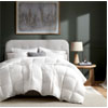 Shell Comforter : Harborhouseliving.com