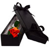 Single Luxury Orange Rose : Inter Rose