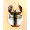 Small Selects Family Box (4 pcs) : Lobsterboys.com