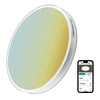 Bright Life Smart Ceiling Light - Lepower Tec