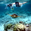 Snorkelling Excursion - Manawa