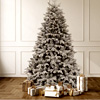 Snow Frost Fir - TwentyFifth