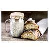 Live Active Sourdough Starter : ShesRootedHome