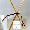 Spectral Awakening Diffuser : Balam
