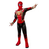 Kids Deluxe Spider-Man Iron Spider Costume : CostumesCom