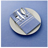 Signature Stripe Chambray Napkins - Richard Haworth