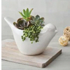 Succulents In Dove Planter | Harryanddavid.com