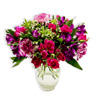 Sugar Plum Fairy - Flowerstation.co.uk