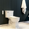 Swash Eco Thinline T66 : Brondell