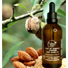 Sweet Almond Oil : Aromasanctuary