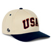 Team USA Hat | DadBrandApparel