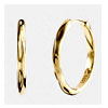 Textured Hoop Earrings - Cernucci