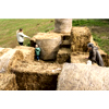 The Fontenille Farm - Featherdown