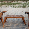 The Picnic Table : Cape Cod Beach Chair