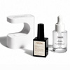 The Starter Kit : Celebritips