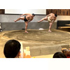 The Sumo Show | Pelago