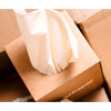 PlantPaper Facial Tissue : Plantpaper.us