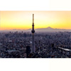 Tokyo Skytree - Pelago.com